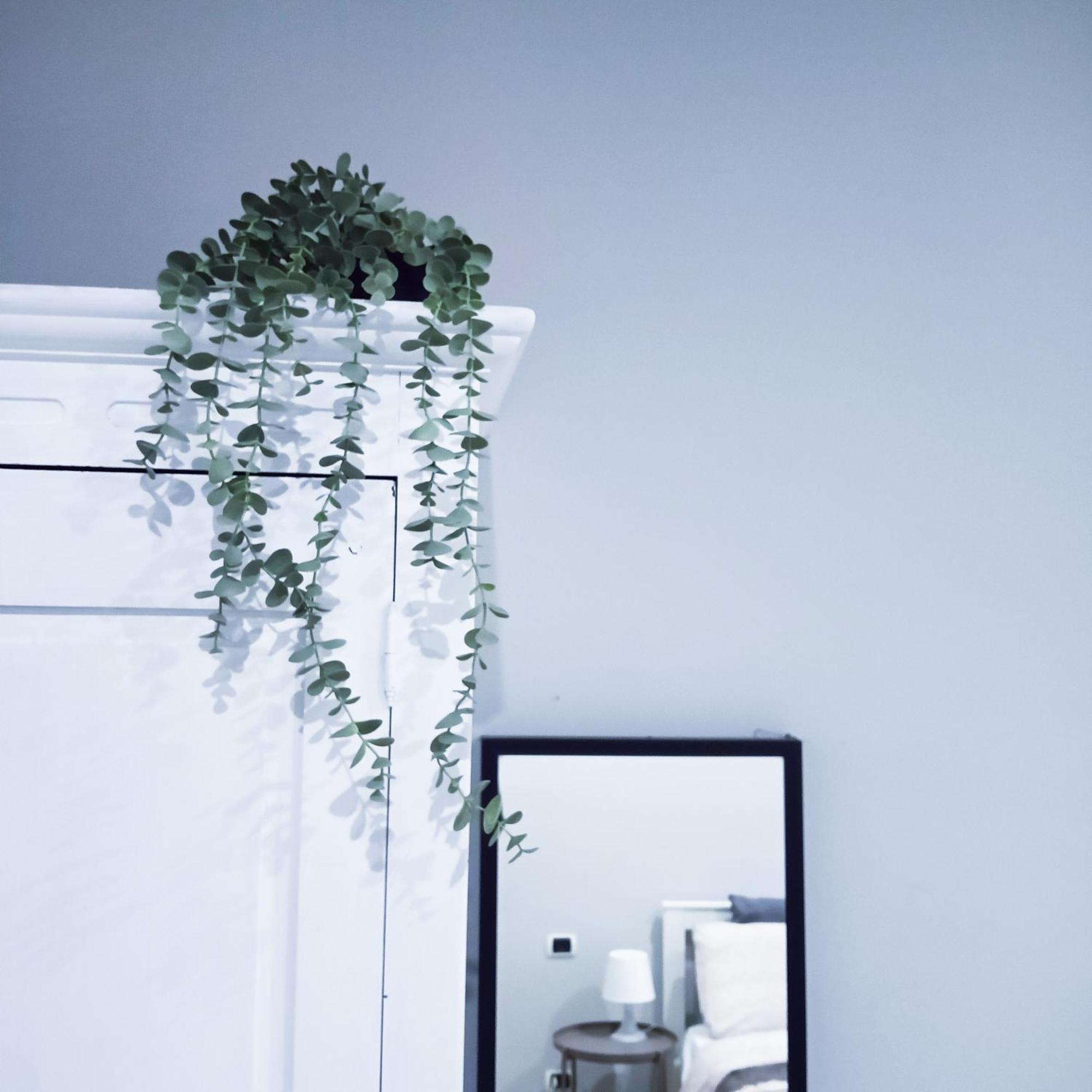 Candia Sweet Home Roma Esterno foto